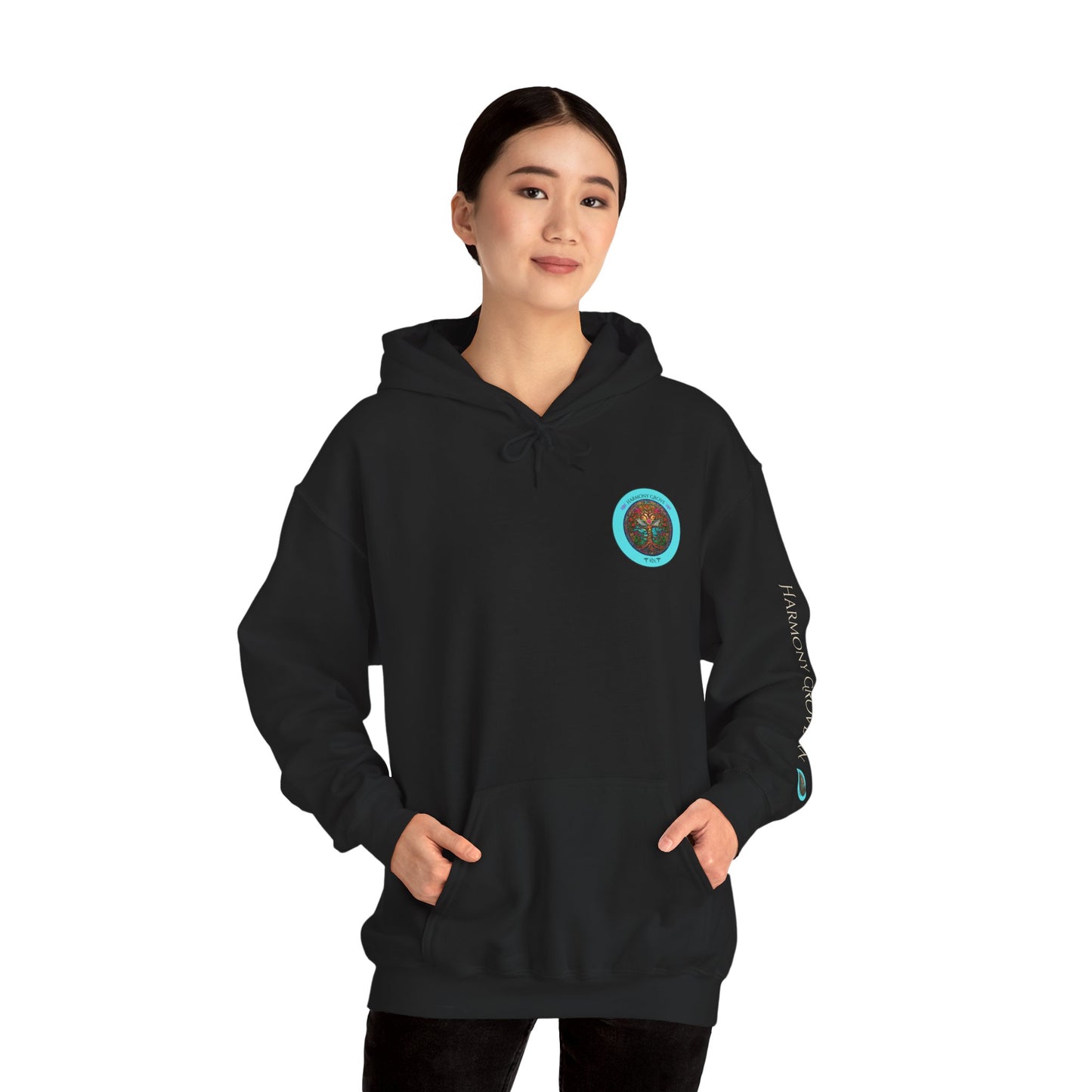 Pullover Hoodie: Harmony Grove RN