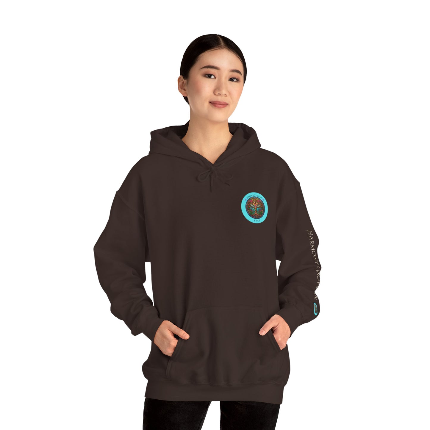 Pullover Hoodie: Harmony Grove RN