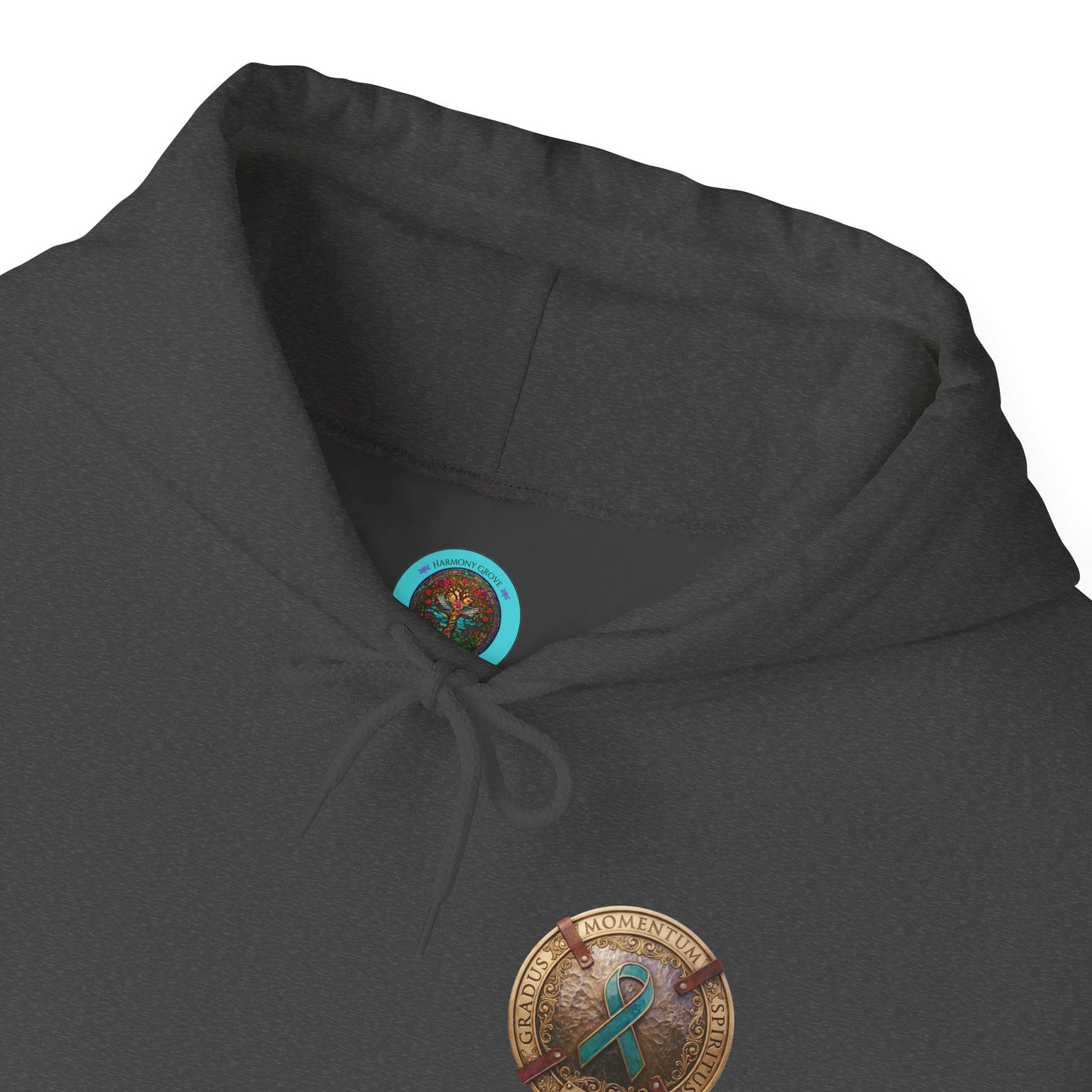 Pullover  Hoodie: "1 Momentum (Moment), 1 Spiritus (Breath), 1 Gradus (Step)" PTSD Awareness Teal Support Ribbon