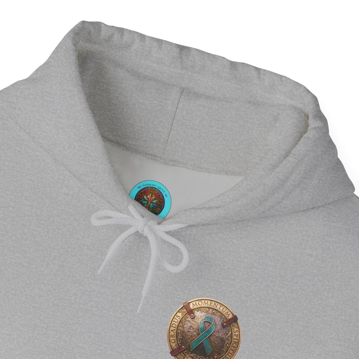 Pullover  Hoodie: "1 Momentum (Moment), 1 Spiritus (Breath), 1 Gradus (Step)" PTSD Awareness Teal Support Ribbon