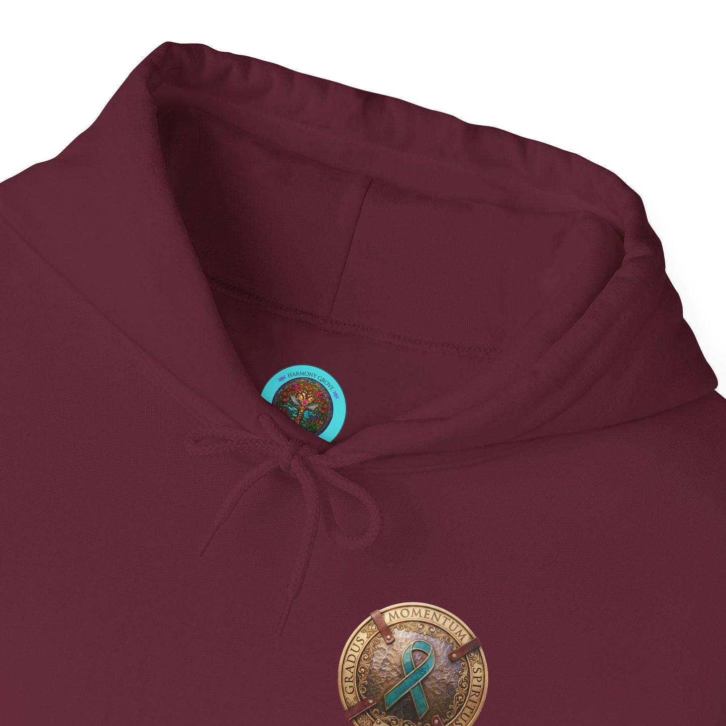 Pullover  Hoodie: "1 Momentum (Moment), 1 Spiritus (Breath), 1 Gradus (Step)" PTSD Awareness Teal Support Ribbon