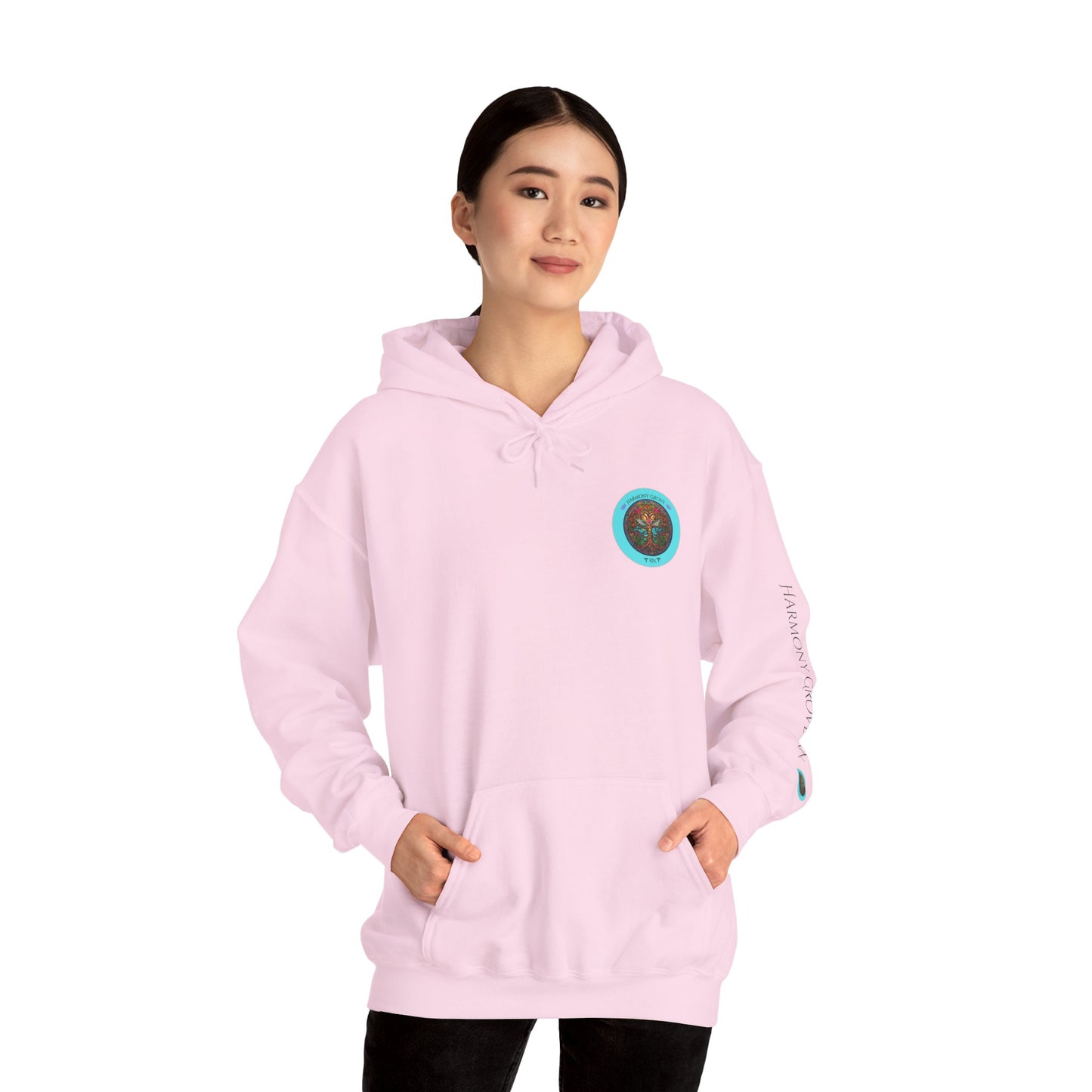 Pullover Hoodie: Harmony Grove RN