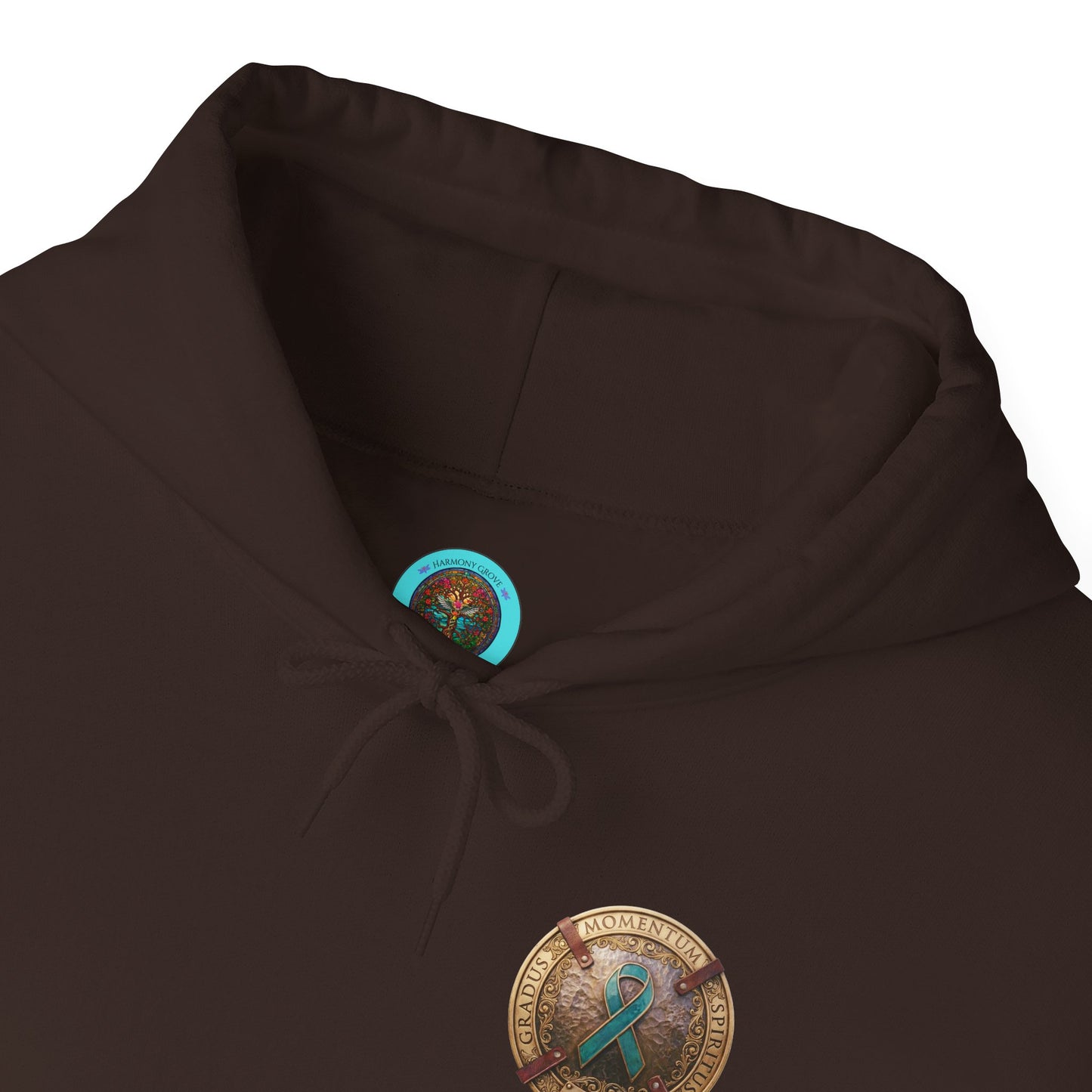 Pullover  Hoodie: "1 Momentum (Moment), 1 Spiritus (Breath), 1 Gradus (Step)" PTSD Awareness Teal Support Ribbon