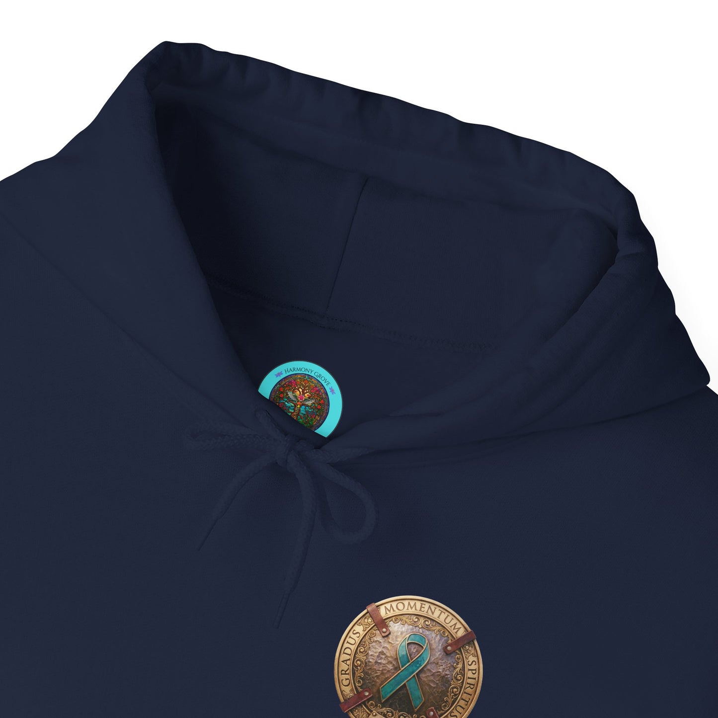 Pullover  Hoodie: "1 Momentum (Moment), 1 Spiritus (Breath), 1 Gradus (Step)" PTSD Awareness Teal Support Ribbon