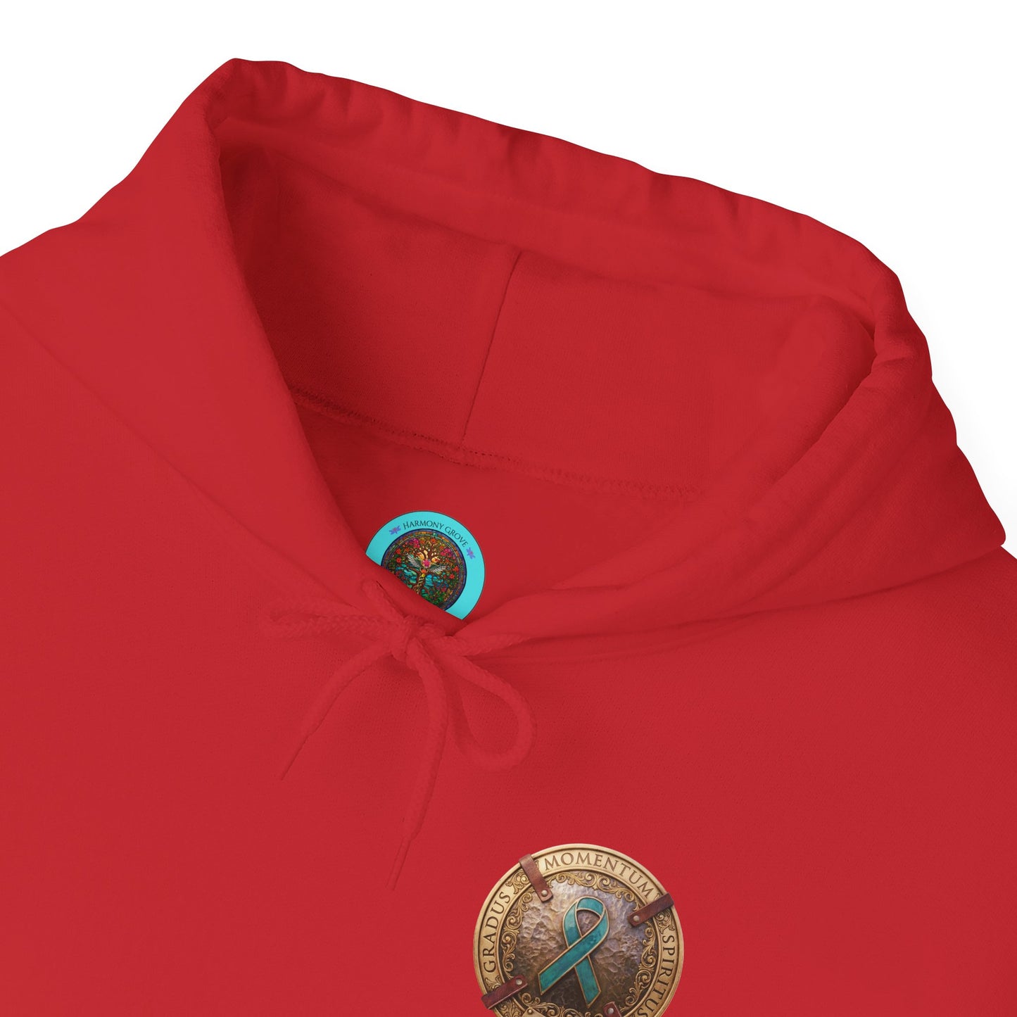Pullover  Hoodie: "1 Momentum (Moment), 1 Spiritus (Breath), 1 Gradus (Step)" PTSD Awareness Teal Support Ribbon