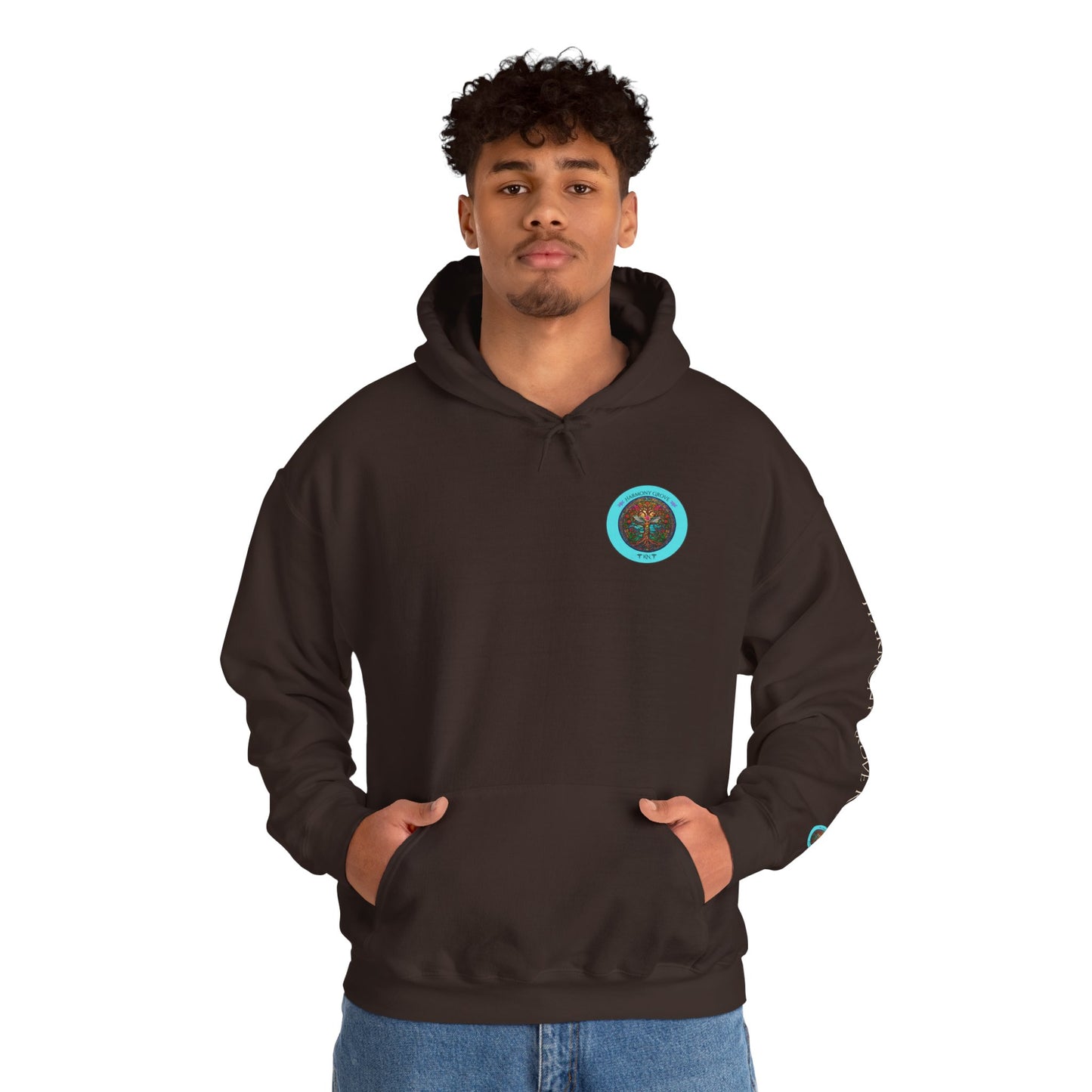 Pullover Hoodie: Harmony Grove RN