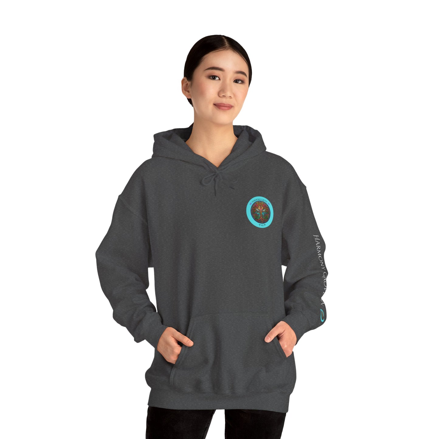 Pullover Hoodie: Harmony Grove RN
