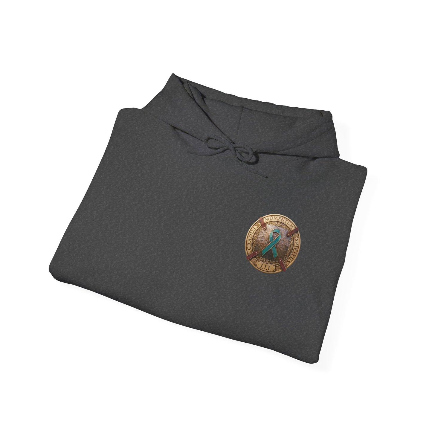 Pullover  Hoodie: "1 Momentum (Moment), 1 Spiritus (Breath), 1 Gradus (Step)" PTSD Awareness Teal Support Ribbon
