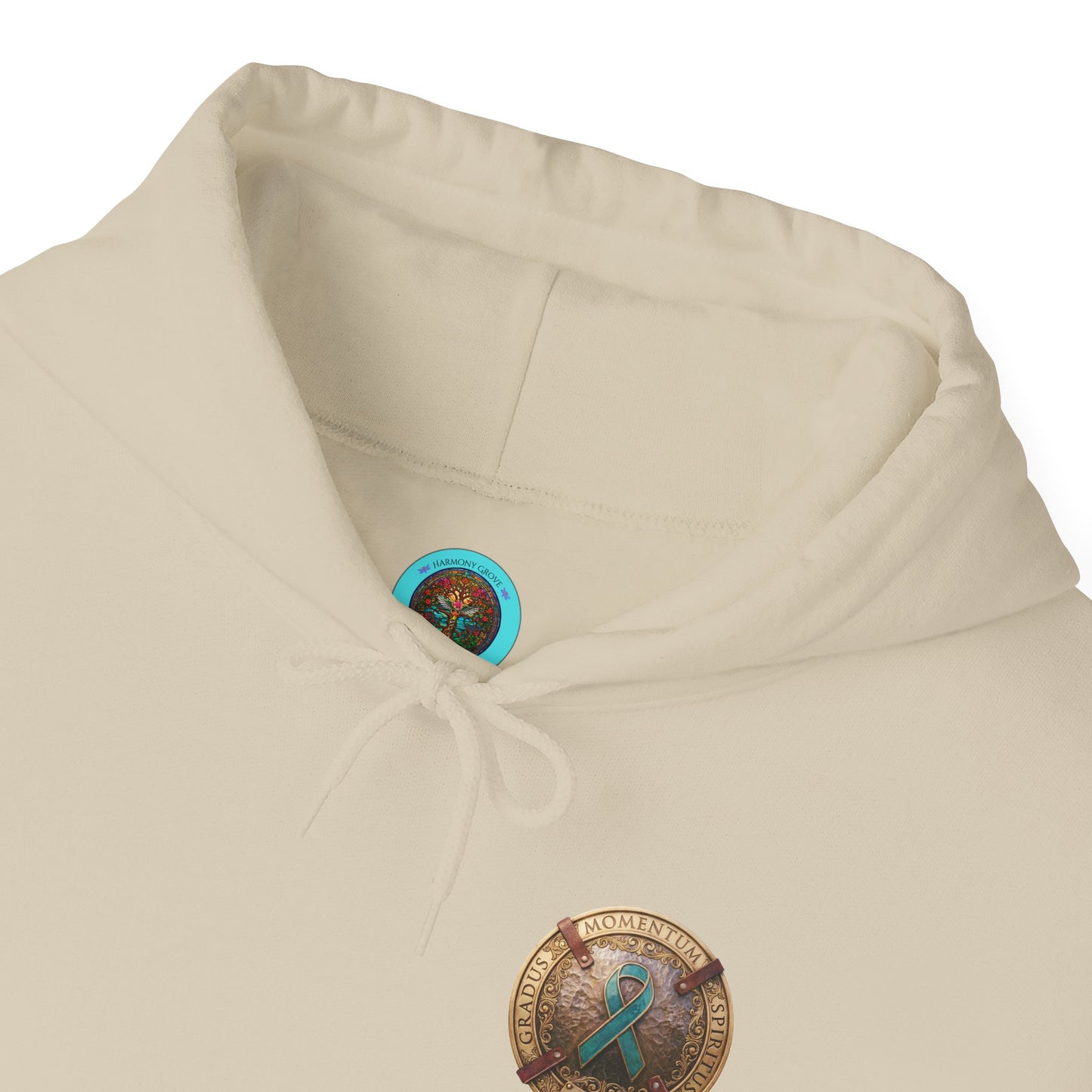 Pullover  Hoodie: "1 Momentum (Moment), 1 Spiritus (Breath), 1 Gradus (Step)" PTSD Awareness Teal Support Ribbon
