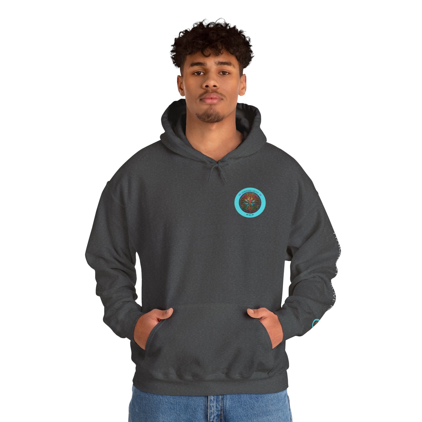 Pullover Hoodie: Harmony Grove RN